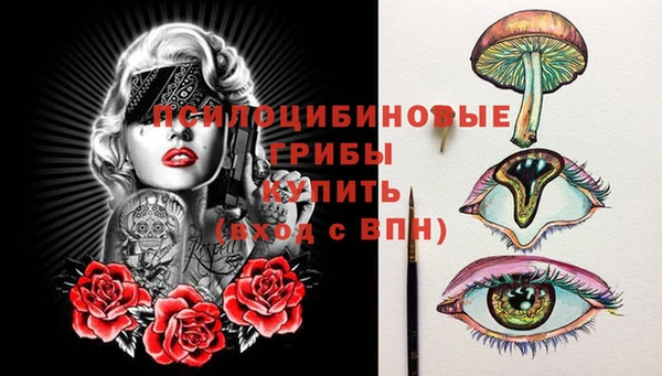 mdma Новодвинск