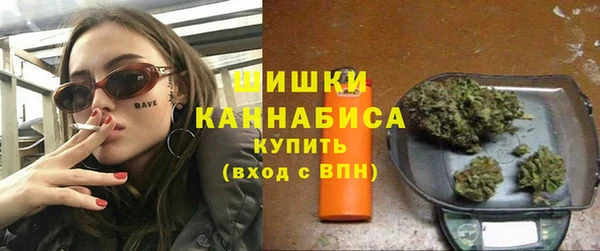 дмт Билибино